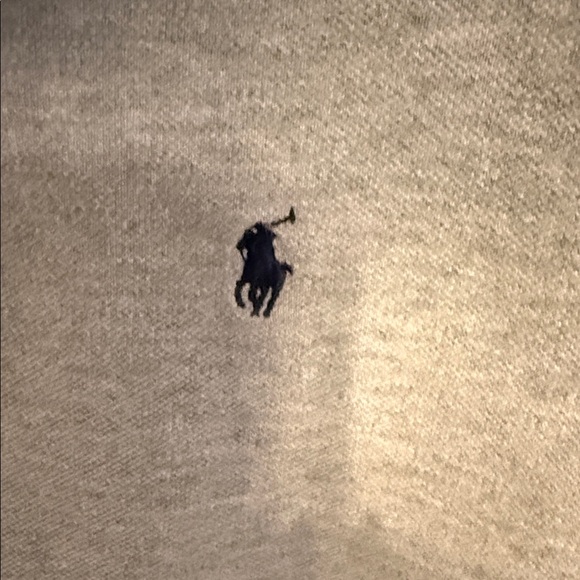 Polo by Ralph Lauren Light Gray Kids Polo Shirt - Picture 4 of 6